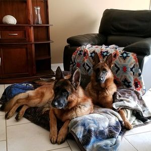 Meet your Posher, Dawn